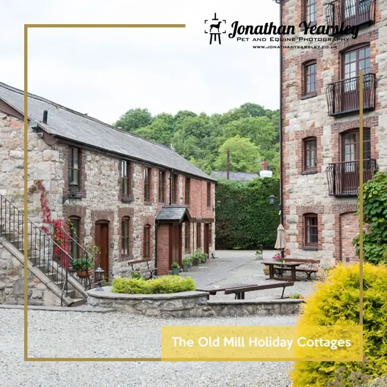 Charming old mill cottages in North Wales with lush greenery and outdoor seating.