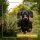 Memorial dog portrait photographer - Dachshund running down path